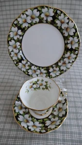 Royal Albert Provincial Flowers, Dogwood, Sammeltassen Set - Bild 1 von 2