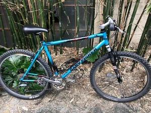 XL Gary Fisher Aquila Mountain Bike  - Picture 1 of 13