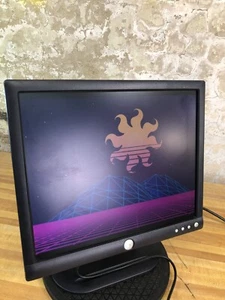Dell E173FBb 17” 4:3 LCD VGA Computer Monitor for Retro Gaming - 1280x1024 - Picture 1 of 12