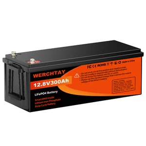 Lithium Batterie 12V 300Ah LiFePO4 Akku BMS 15000+ Zyklen Wohnmobil Solaranlage - Bild 1 von 23