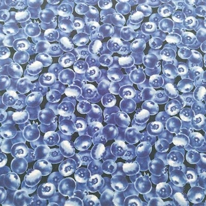 Cotton Print Fabric by Hi-Fashion Fabrics Blueberries 1.33 Yards x 44" - Picture 1 of 6