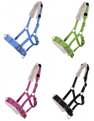 Kappzaum Halfter Nylonhalfter Longierhalfter QHP 6 Farben und 4 Grössen - Bild 1 von 4