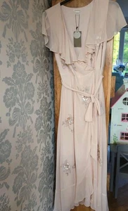 Monsoon Wedding Guest Dress Size 16. With Tags - Picture 1 of 16