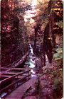 Postcard Nh Flume Gorge Franconia Notch Plastichrome P1040