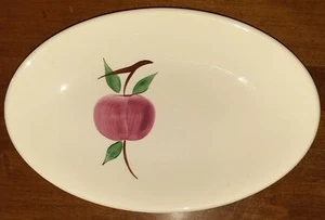 Canonsburg Skyline McIntosh Oval Relish Dish Matches Blue Ridge Arlington Apple - Picture 1 of 3