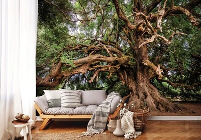 Papel Pintado Antiguo Majestuoso Árbol Gigante Foto Mural Verde 144x100 Pulgadas Naturaleza Foto 1 de 4