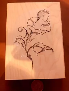 Morning Glory Baby 3,75x2,25" Stempel P27 - Bild 1 von 3