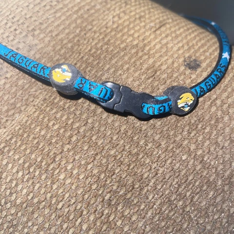 Football Team Titanium Necklaces  NEW Jacksonville Jaguars  Cover
