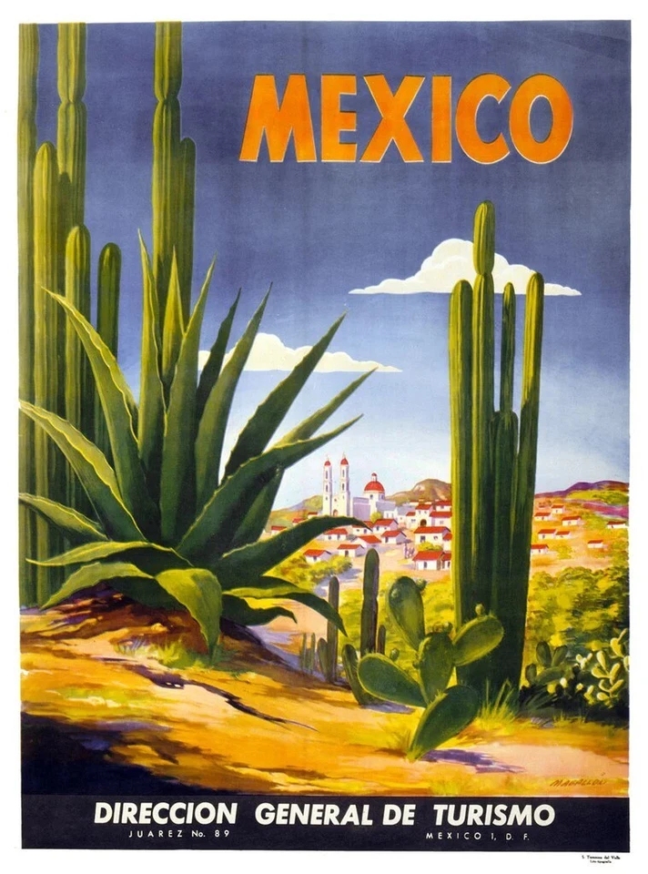 Póster con impresión de arte de pared de Sofía vintage de paisaje de cactus de México 14" x 11" 1978 Foto 1 de 1