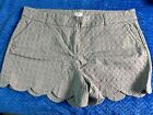 Crown & Ivy Shelby Women's Shorts Scalloped Hem Gray Textured Stretch ABL Sz 16