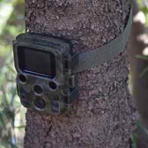 Sightron Infrared Unmanned Shooting Trail Camera Mini STR-MiNi300 F/S from Japan