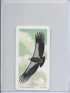 1970 California Condor National Wildlife In Danger Federation Card #9 Series 13 - Picture 1 of 2