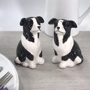 Border Collie novelty Salt & Pepper ceramic shaker cruet set Dog lover gift box - Picture 1 of 5