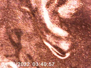 2021 D/D Lincoln Cent - DDO & DDR - Doubled Ear - ALL PICS - FREE SHIPPING! *21 - Picture 1 of 4