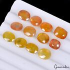 41.70 Cts/12 Pcs Natural Ceylon Yellow Sapphire Sparkling Loose Untreated Gems