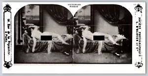 Victorian Risque -French stereo photo artistic nude : Woman Laying down - Picture 1 of 1