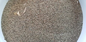 SAND - ROSOLINA MARE - ROSAPINETA - ITALIEN - SANDSAMMLUNG  - Bild 1 von 3