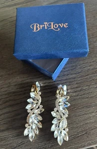 Crystal Teardrop Earrings by BriLove - Picture 1 of 2