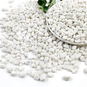 2Lb White Polished River Rocks 3/8 Inch Succulent Pea Gravel Aquarium Fish Tank - Picture 1 of 12
