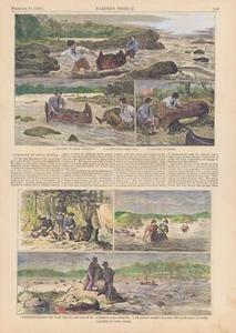 Harper's Weekly 1880: "CANOA EN NOVA SCOTIA" - Imagen 1 de 1