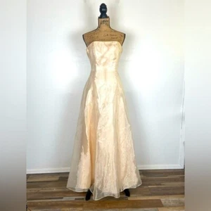 Scott Mc Clintock Y2K Millennial 2000's Chiffon Gown Size 4 Irisdecent Yellow US - Picture 1 of 8