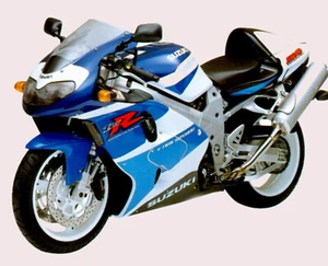 DESCARGAR MANUAL DE TALLER SUZUKI TL1000R PDF SERVICIO DE REPARACIÓN INGLÉS - Imagen 1 de 6