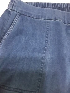 NWT Charter Club Petite Medium Crop Pants Light Blue - Picture 1 of 8