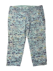 Talbots The Weekend Chino Pants Womens 22 W Blue Beach Ocean Water - Picture 1 of 14