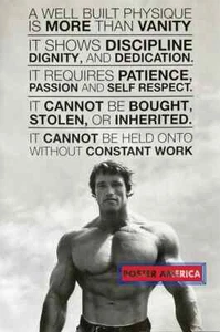 Arnold Schwarzenegger Well Built Physique Poster 24 x 36 - Picture 1 of 1