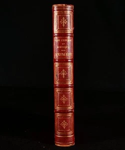 1867 Vie Privee et Publique des Animaux Granville Illustrated French - Picture 1 of 7