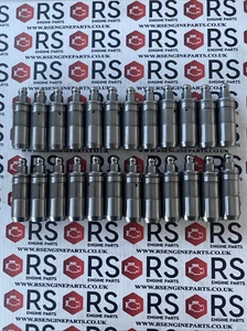 HYDRAULIC LIFTERS TAPPETS FITS FOR HYUNDAI XG KIA SORENTO MITSUBISHI 3.0 3.5 24V - Picture 1 of 9