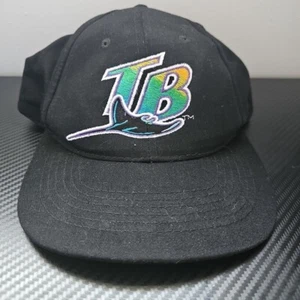 MLB Tampa Bay Rays Budweiser Black Embroidered Snapback Baseball Hat - Picture 1 of 7