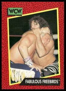 Fabulous Freebirds 1991 Impel WCW #119 Pro Wrestling Card - Afbeelding 1 van 2