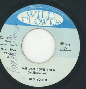 " JAH JAH LOVE THEM." big youth. WILD FLOWER 7in 1976. - Picture 1 of 2