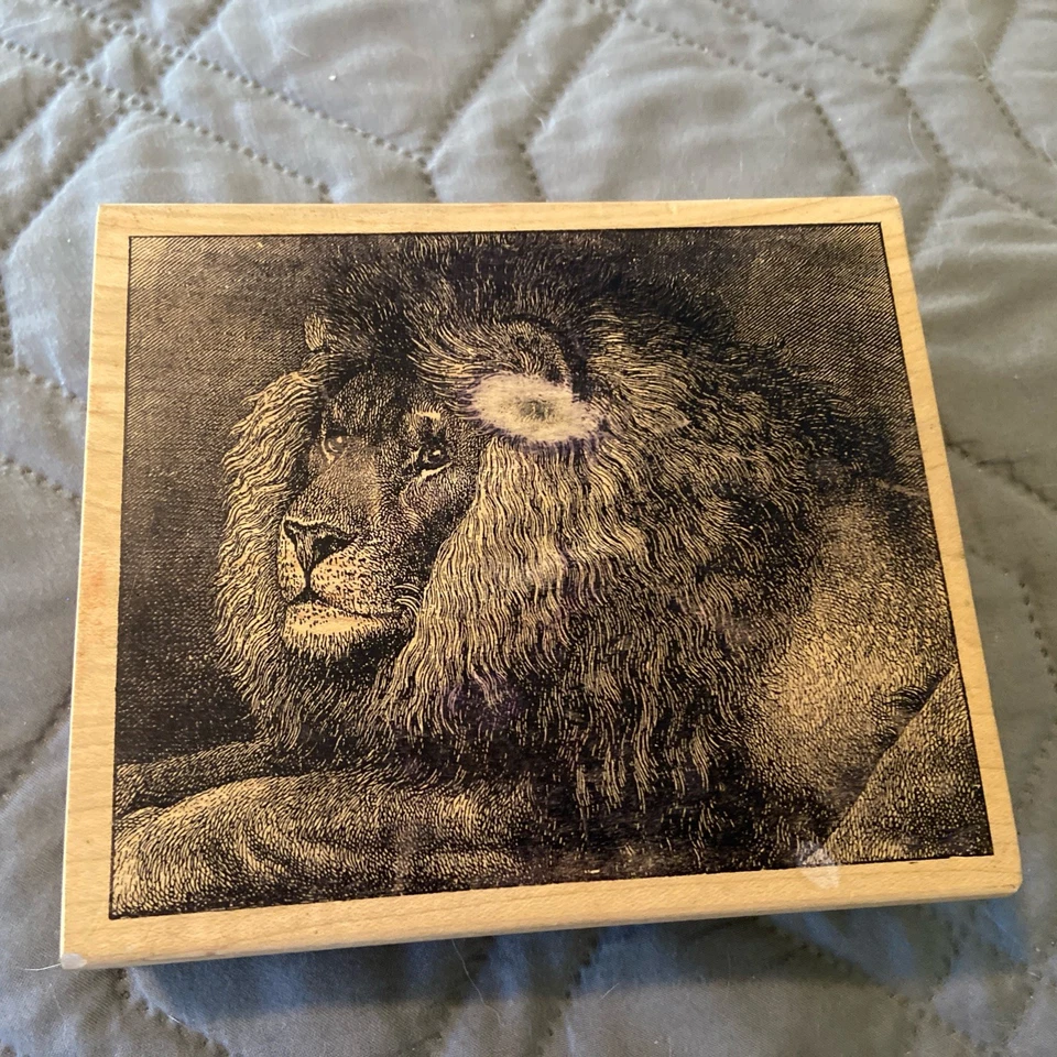 Sello de goma animal gato grande león madera - magenta hecho en Canadá Foto 1 de 4