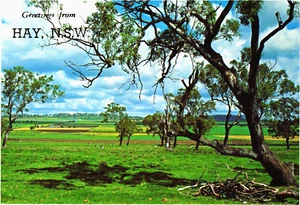 Postcard:   Typical Rural Scene --- Hay -- New South Wales --- Australia - Picture 1 of 2