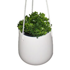Ceramic 5 Hanging Planter Indoor Plant Holder W/ Rope Hanger Flower Pot Basket