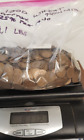 8.1 lbs Lincoln Wheat Pennies Mix All Mints 1,300+ Coins Approx 25% Pre 1940