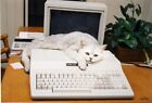 Un chat blanc couché paresseusement sur un tandy 1000 ordinateur vintage affiche rétro impression d'art
