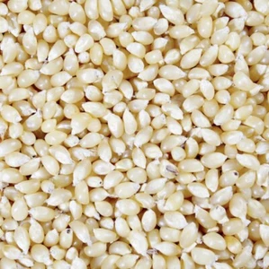 Amish Country White Baby Butterfly Popcorn Kernels / 50 lbs - Picture 1 of 3