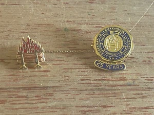 Cooperative Extension Service Anstecknadel 25 Jahre Member Service Award Pullover Pin - Bild 1 von 18