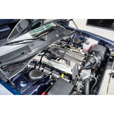 Cubiertas de riel de combustible con incrustación roja '392 HEMI' para Challenger/Cargador/300 SRT8 2015-16 Foto 1 de 4