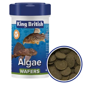 King British Algae Wafer Catfish Bottom Feeders Plec Aquarium Fish Food 100/200g - Picture 1 of 5