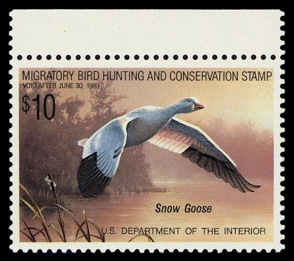RW55 — 1988 Superb 98 NH, Mint NH - Image 1 of 1