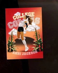 2024 Onit Nebraska Voleibol Universitario Colores #CC4 Andi Jackson - Imagen 1 de 1