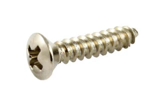 Allparts GS-0091 Long Pickguard Screws - Nickel, Pack of 20 - Picture 1 of 1