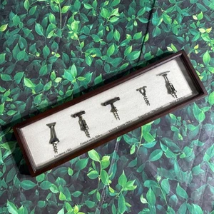 Corkscrew Shadowbox Picture - Picture 1 of 5