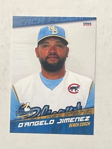 D’ANGELO JIMENEZ 2024 Myrtle Beach Pelicans Card MILB - Imagen 1 de 1