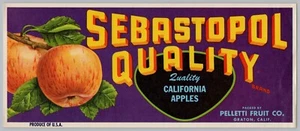 Sebastopol Apples, Vintage Mid-Century Pelletti Fruit Crate Label, Cool Art A2 - Picture 1 of 2