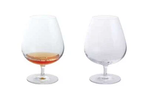 Dartington Crystal - Wine & Bar - Pair of Brandy Glasses - 240987N - Picture 1 of 3